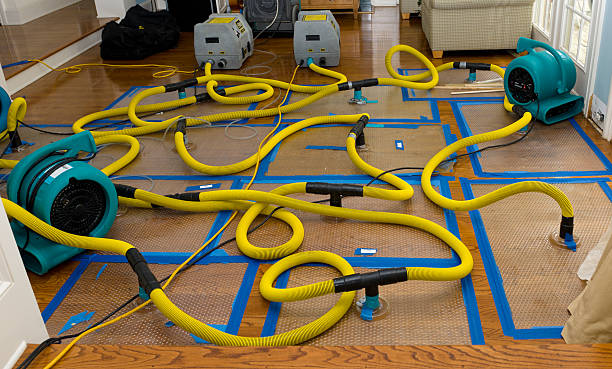 Professional Crawl Space Water Removal technician working in Vassar, MI